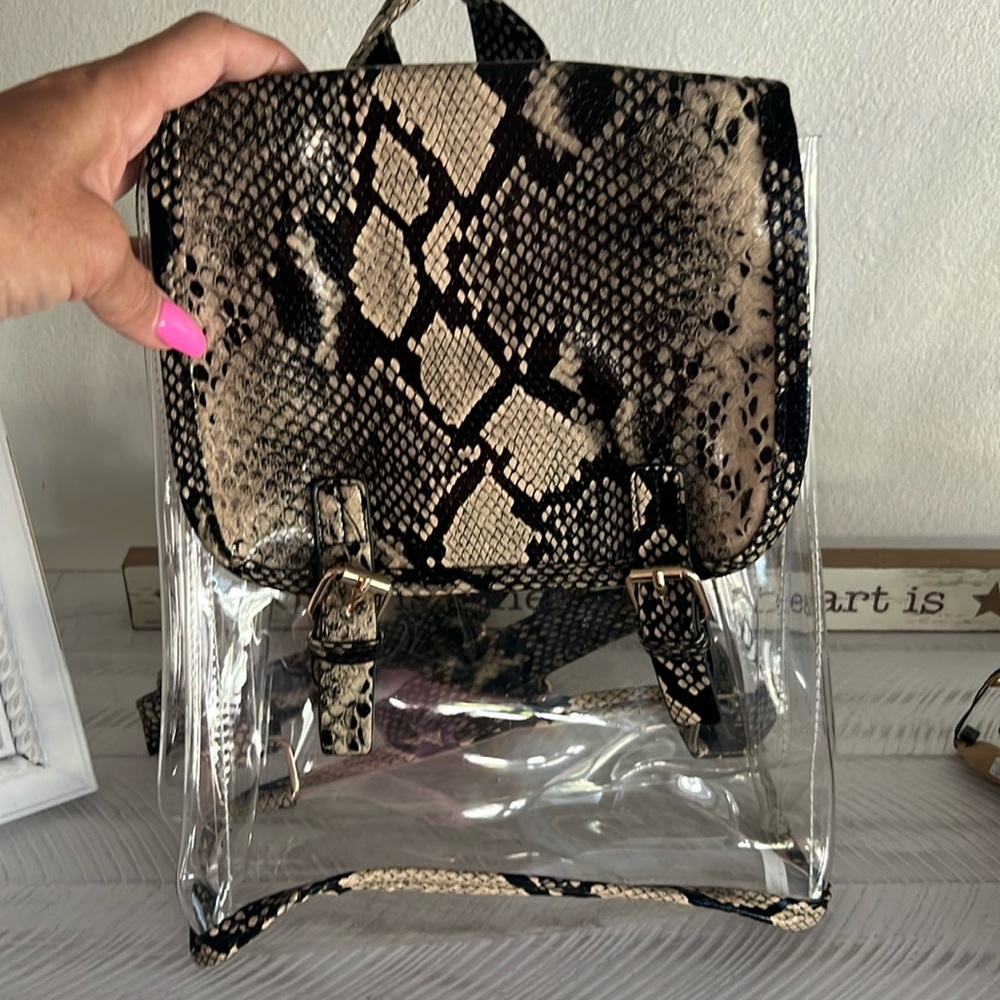 Clear backpack